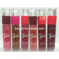 Hacer tu propio brillo de labios Lip marca brillo Lipgloss empaquetado